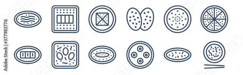 12 pack of icons. thin outline icons such as braised abalone, xiao long bao, soy eggs, tong sui, dongpo pork, zhaliang for web and mobile apps, logo