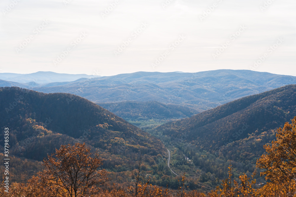 Autumn forest landscape with mountains on the horizon in orange colors in the fall. Autumn forest landscape with mountains on the horizon in orange colors in the fall.