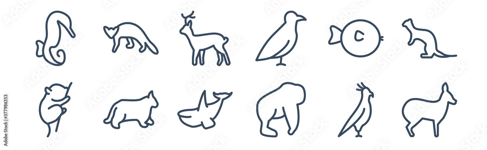 12 pack of icons. thin outline icons such as musk, orangutan, pallas cat, puffer, roe, sable for web and mobile apps, logo 12 pack of icons. thin outline icons such as musk, orangutan, pallas cat, puffer, roe, sable for web and mobile apps, logo