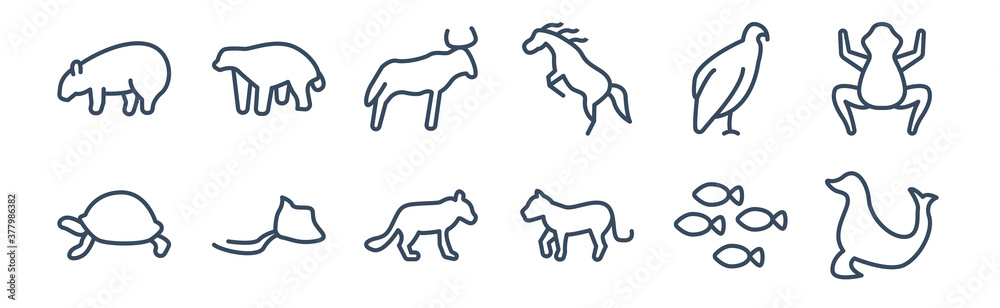 12 pack of icons. thin outline icons such as sea lion, siberian tiger, stingray, vulture, wildebeest, wolverine for web and mobile apps, logo 12 pack of icons. thin outline icons such as sea lion, siberian tiger, stingray, vulture, wildebeest, wolverine for web and mobile apps, logo