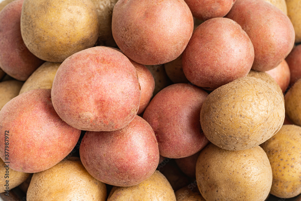 A Macro Or Extreme Close-Up Shot Of Raw And Fresh Baby Potatoes A Macro Or Extreme Close-Up Shot Of Raw And Fresh Baby Potatoes