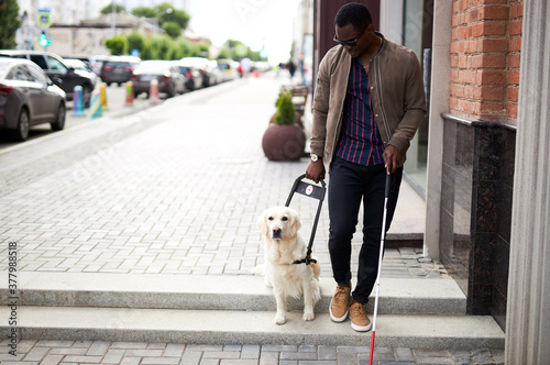 african american disabled man with helpful dog, dark skinned guy walking with friendly dog golden retriever