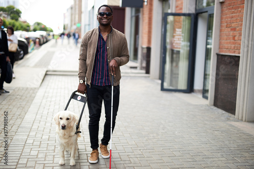 african american disabled man with helpful dog, dark skinned guy walking with friendly dog golden retriever photo