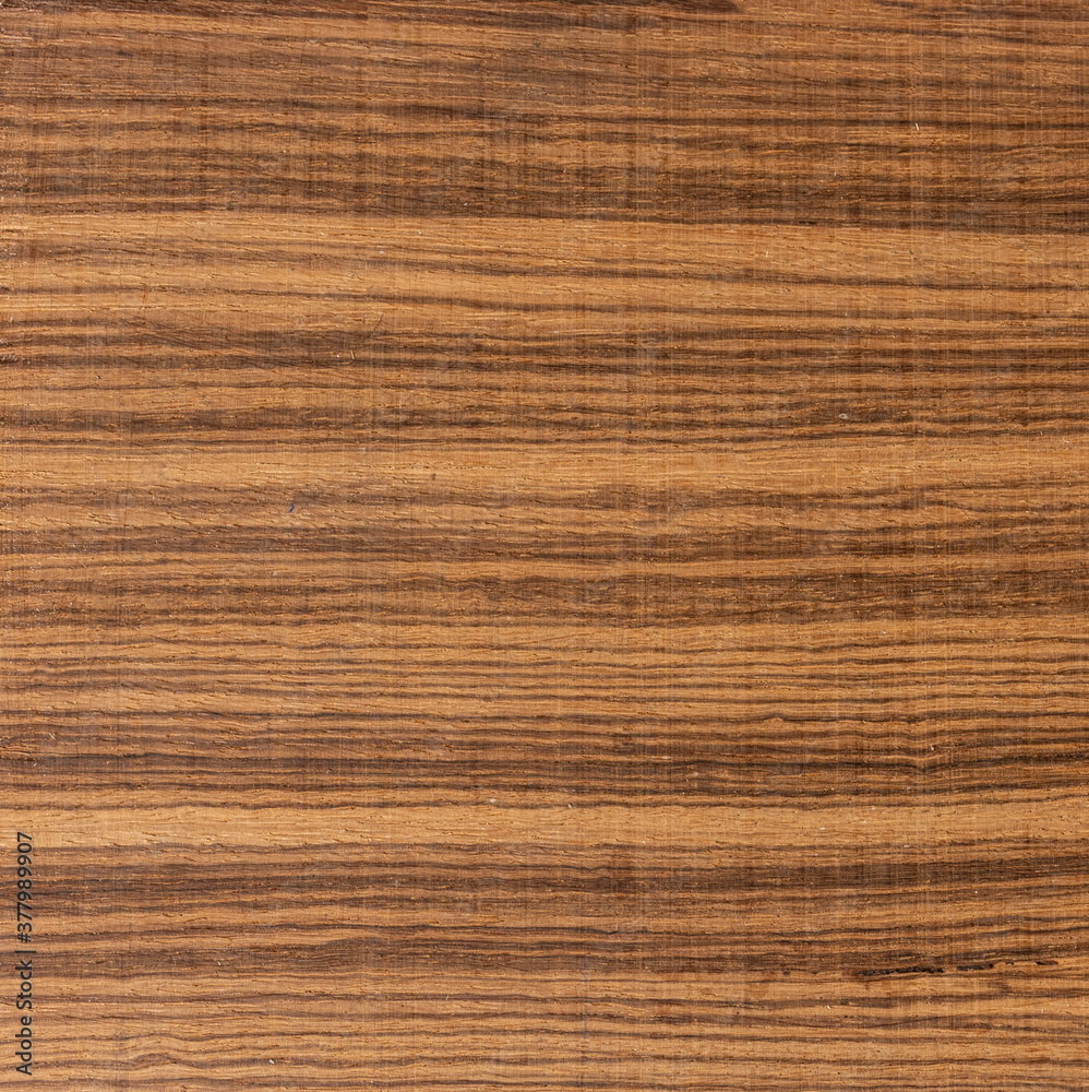 Exotic zebrano wood background