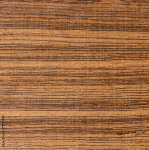 Obraz na płótnie Exotic zebrano wood background w salonie