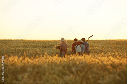 Back view wide angle at workers holding tools while walking across golden field in sunset light  copy space