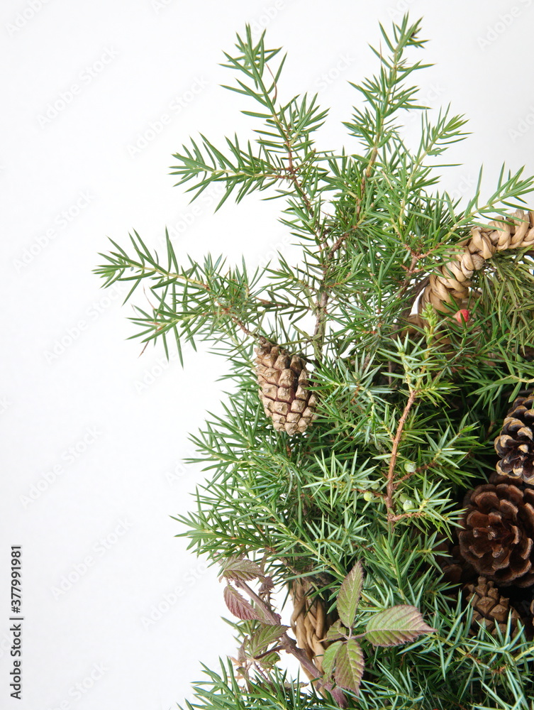 Fototapeta premium Christmas decor with wild berries, conifer cones, spruce branches on white background