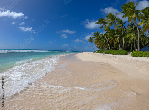 beach with palm trees in saona island in Dominican Republic  © gianfranco