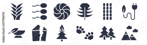12 pack of black filled icons. glyph icons such as mountain colapse, four toe footprint, damaged, bamboo sticks, leaf monstera, hibiscus, fertilize clinic for web and mobile apps, logo