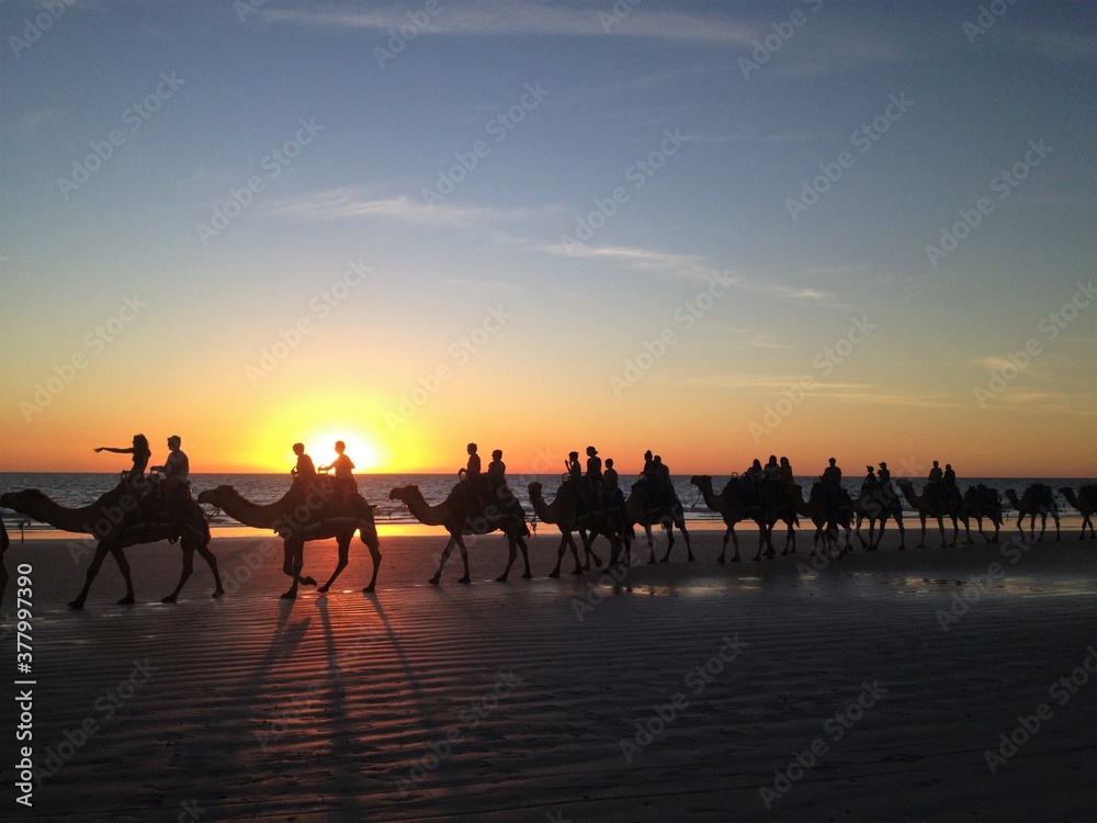 Broome sunset camel ride