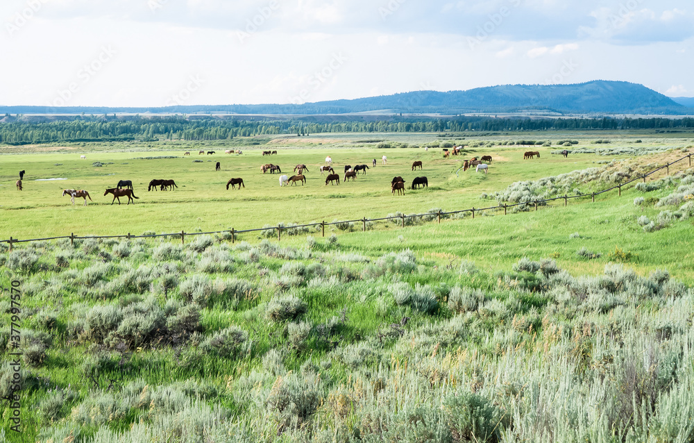 tetons7 tetons7