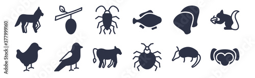 12 pack of black filled icons. glyph icons such as ape, bedbug, canary, clam, clownfish, cockroach, cocoon for web and mobile apps, logo © Premium Art
