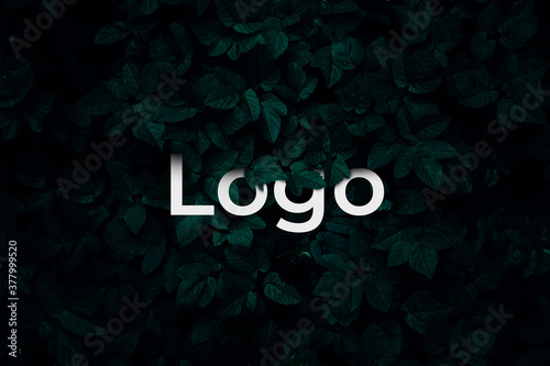Leaves pattern with word Logo on black background