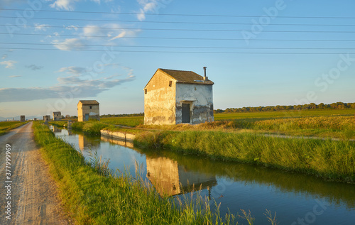 Irrigation canals of the paddy fields of Valencia at sunset
