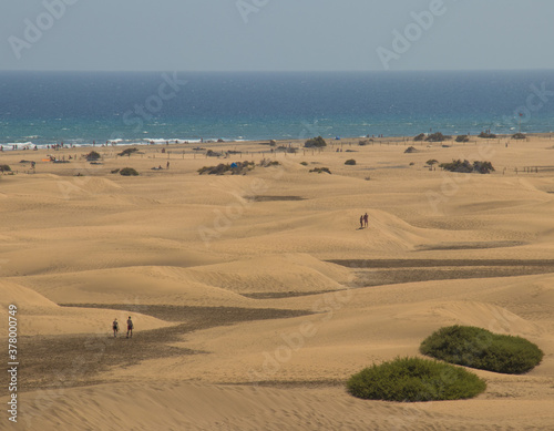 sand dunes on the beach