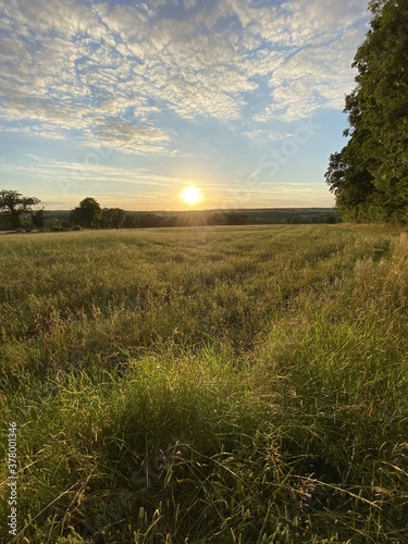 Coucher de soleil sur un champ de bl    Bourgogne