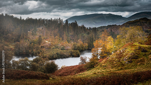 Tarn Hows in autumn.Painterly landscape scene in Lake District, Cumbria,UK