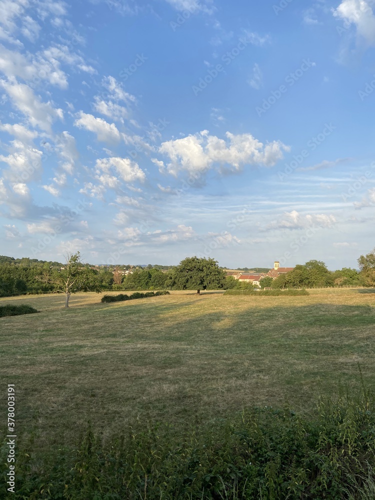 Champs en Bourgogne	