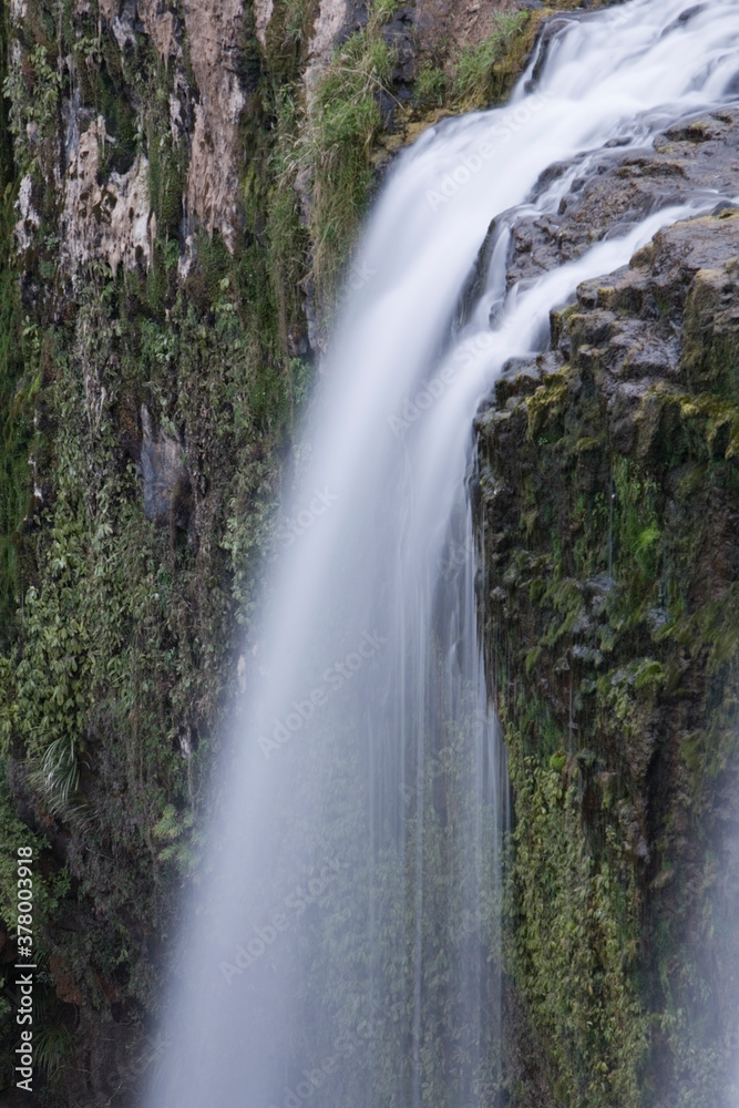 Obraz premium Whangerei Falls, Whangerei, North Island, New Zealand