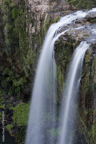 Fototapeta Naklejka Na Ścianę i Meble -  Whangerei Falls, Whangerei, North Island, New Zealand