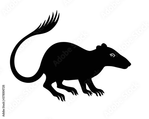 Purgatorius - extinct prehistoric primate - ancestor of apes and humans - silhouette stock illustration for logo or pictogram. Purgatorius is a fossil animal - the ancestor of man. Evolution of primat photo