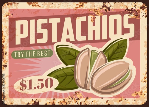 Pistachio nuts metal rusty plate, food poster vintage, raw snacks vector retro design. Natural organic pistachios nuts, agriculture vegetable food market price poster, metal plate with rust