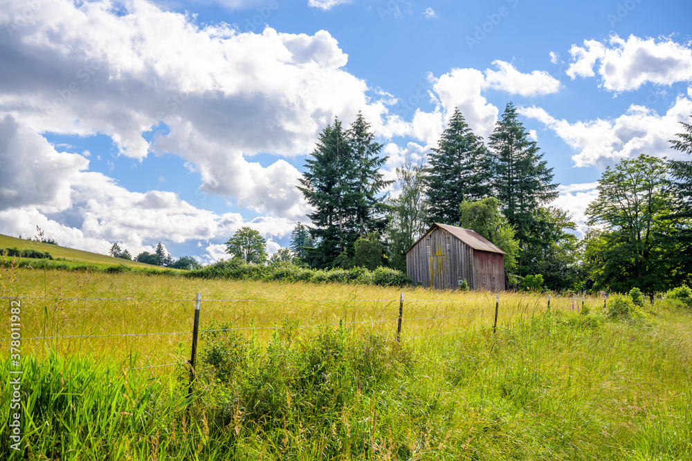 An old rickety wooden barn on the edge of a green meadow with lush grass.
