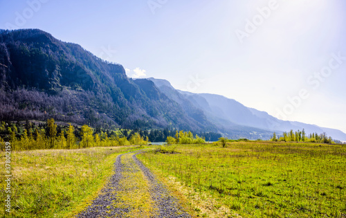 Country road overgrown with green grass leads to a mountainous rocky ridge along the river through a meadow and a strip of bright spring trees in Columbia Gorge