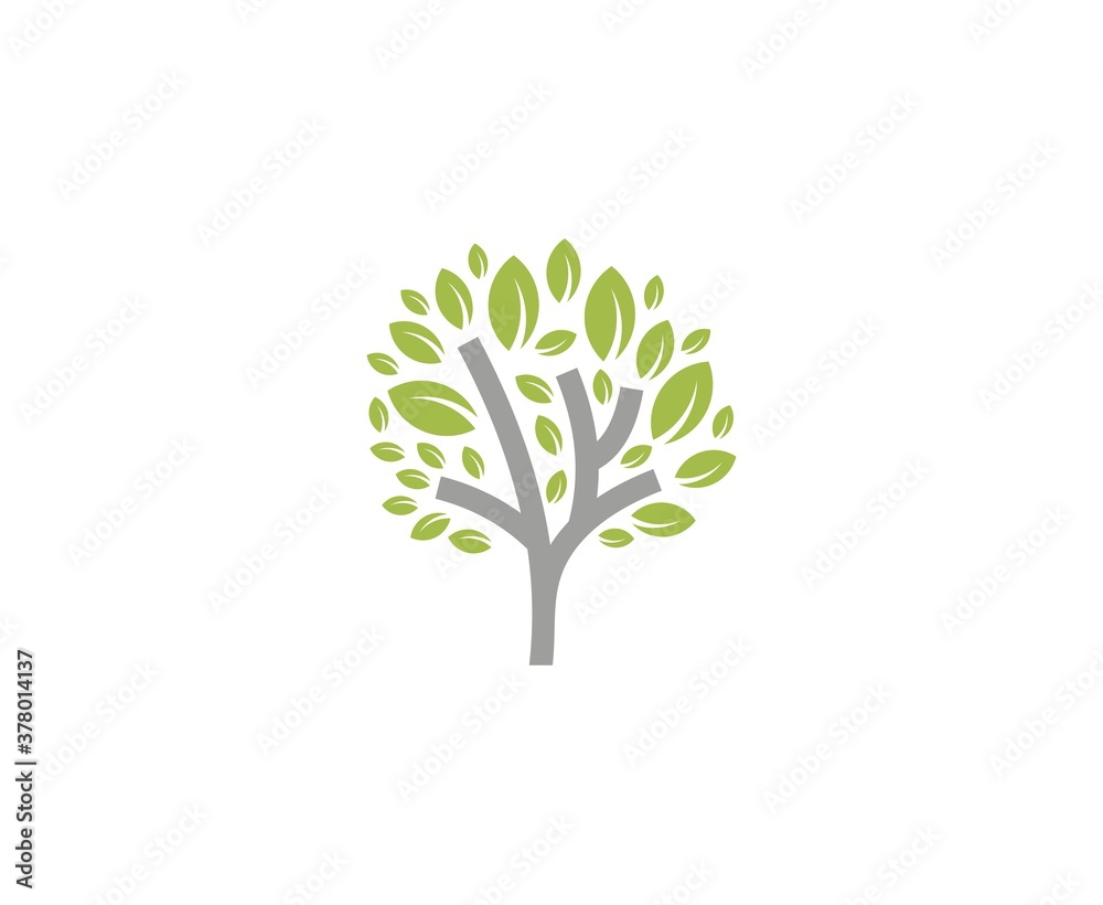 Tree logo
Tree logo