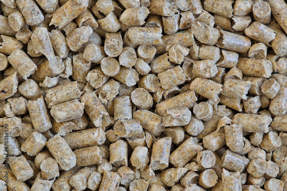 Pine pellet litter for pets, textured background. Macro close up details, one color full frame image. Pine pellet litter for pets, textured background. Macro close up details, one color full frame image.