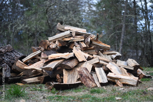 Fototapeta Naklejka Na Ścianę i Meble -  Pile of chopped wood