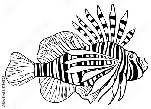 Schilderij op canvas Illustration of red lionfish isolate on white background