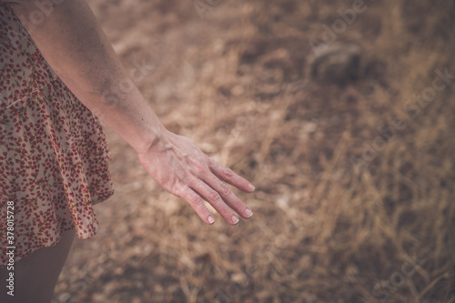 Primer plano de la mano de una mujer que pasea por un bosque al atardecer en otoño que evoca sensación de paz y tranquilidad.
