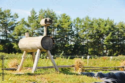 cute wooden animal statue in the farm