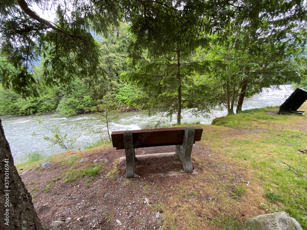 wooden bench in the park