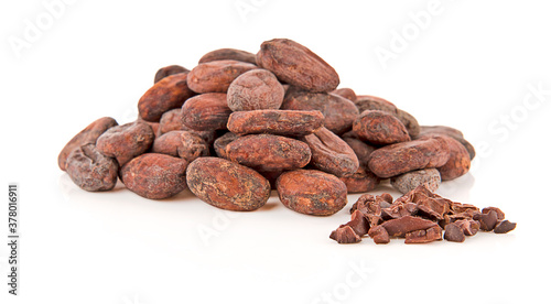cocoa beans isolated on white background