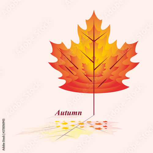 Modern autumn leaf illustration with reflection 