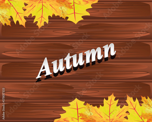 Autumn leaves over wood texture background 