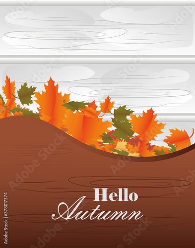 Modern hello autumn banner with orange maple leaves and wood  texture