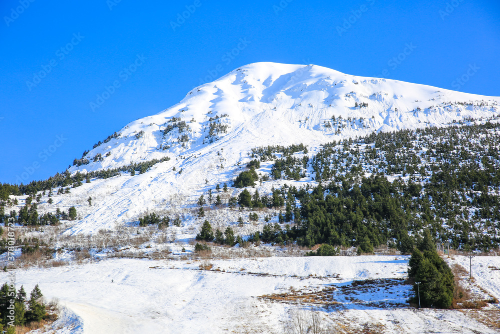 Ski Hill，Girdwood, Anchorage, Alaska