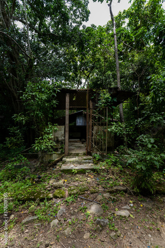 Beautiful view of the San Lucas national Ruins and forest- in Costa Rica