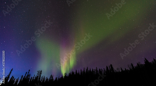 Northern lights   Fairbanks  Alaska