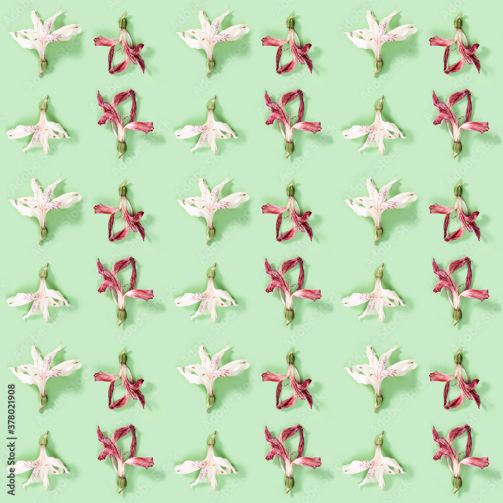 Seamless regular creative pattern with bud of dry white and red flower alstroemeria on green.