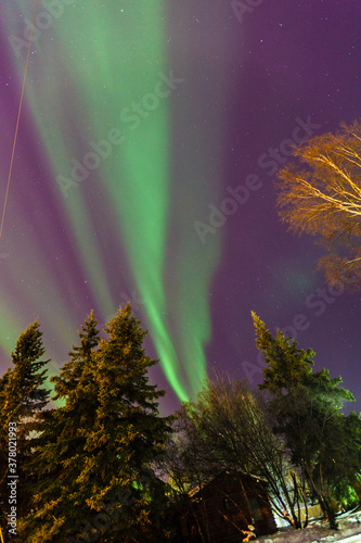 Northern lights   Fairbanks  Alaska