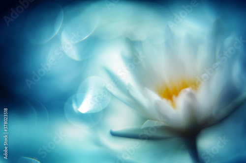 A white lotus blooming alone in the pond, showing a beautiful face in the morning sun, the background is shimmering with shining light spots, and the whole looks like a beautiful watercolor painting