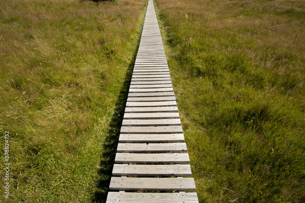Trail Boardwalk, Mount Cook National Park, South Island, New Zealand Trail Boardwalk, Mount Cook National Park, South Island, New Zealand