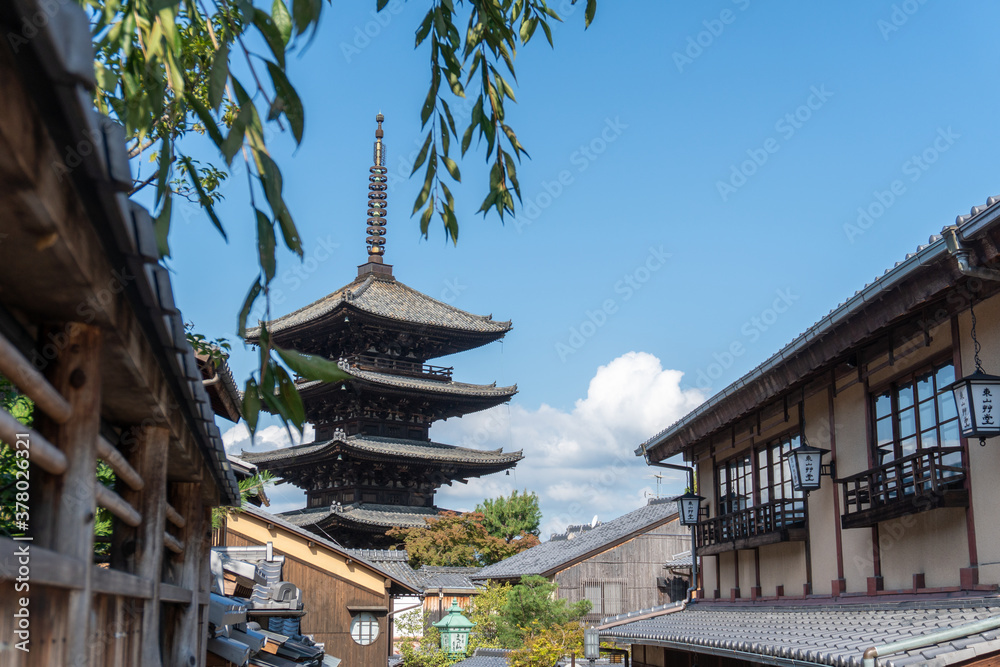 Naklejka premium 法観寺 八坂の塔