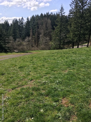 Nature Park Hill View