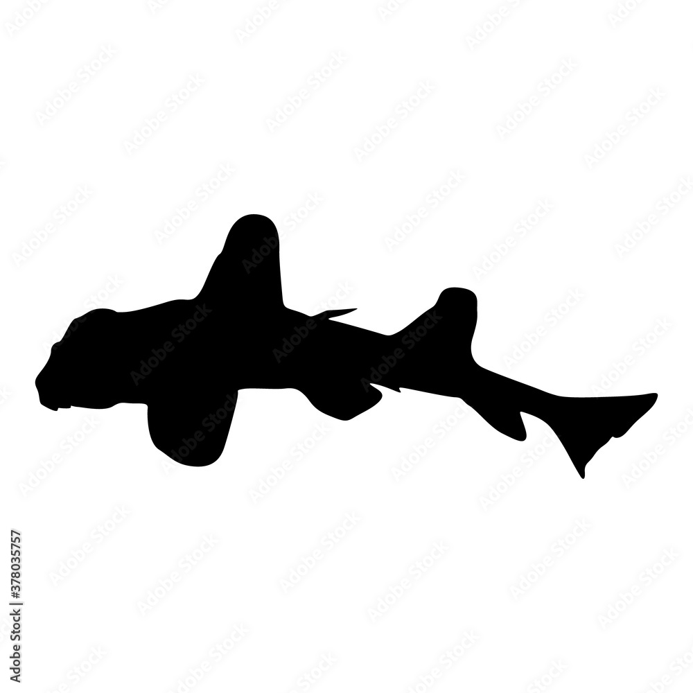 Φωτογραφία Swimming Horn Shark (Heterodontus Francisci) On a Side View Silhouette Found In Map Of North And West America
