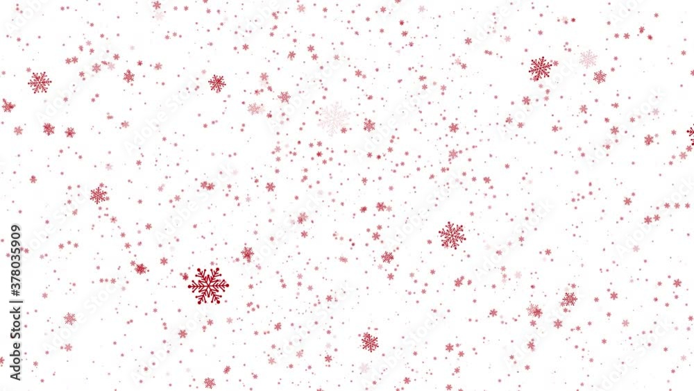 Snowflakes falling animation on white background.